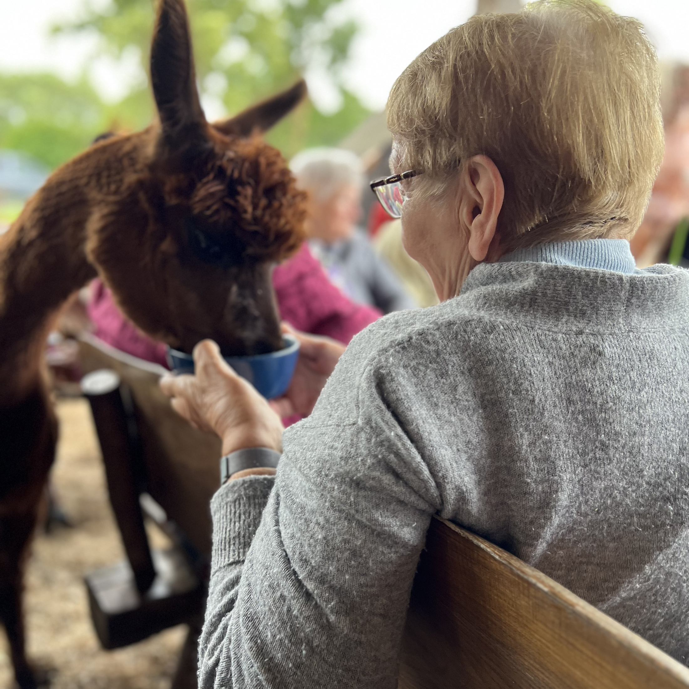 Tagespflege_Pretzier6